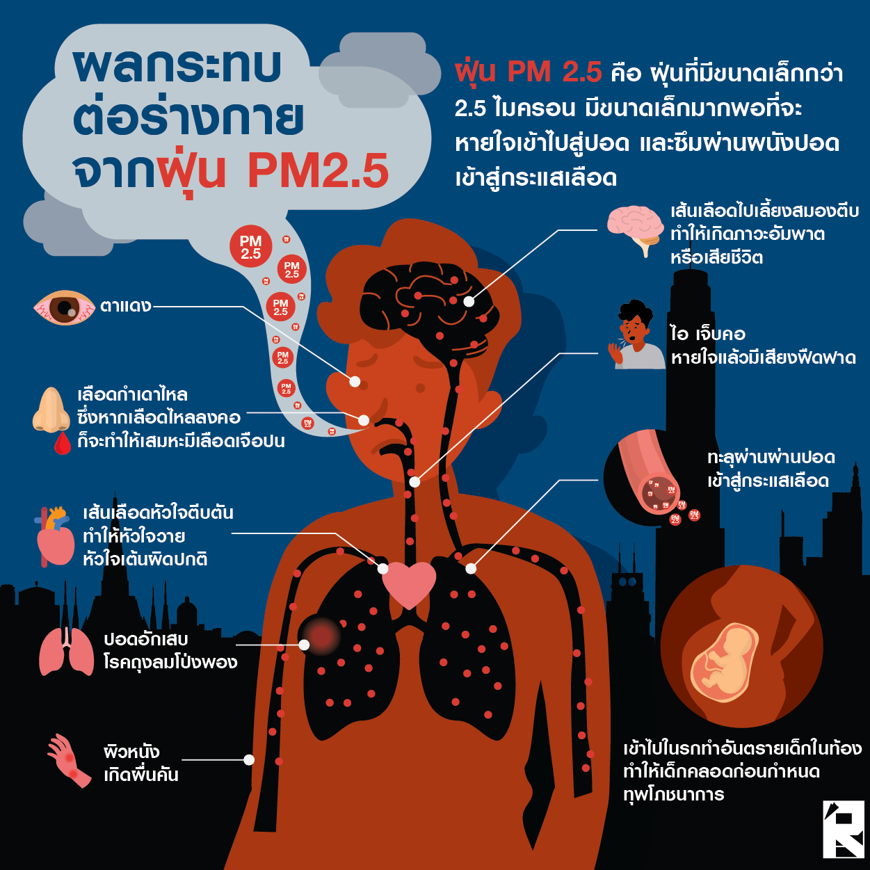 ภาพอินโฟกราฟิกเกี่ยวกับผลกระทบของฝุ่น PM2.5 ต่อสุขภาพและการเข้าสู่กระแสเลือด