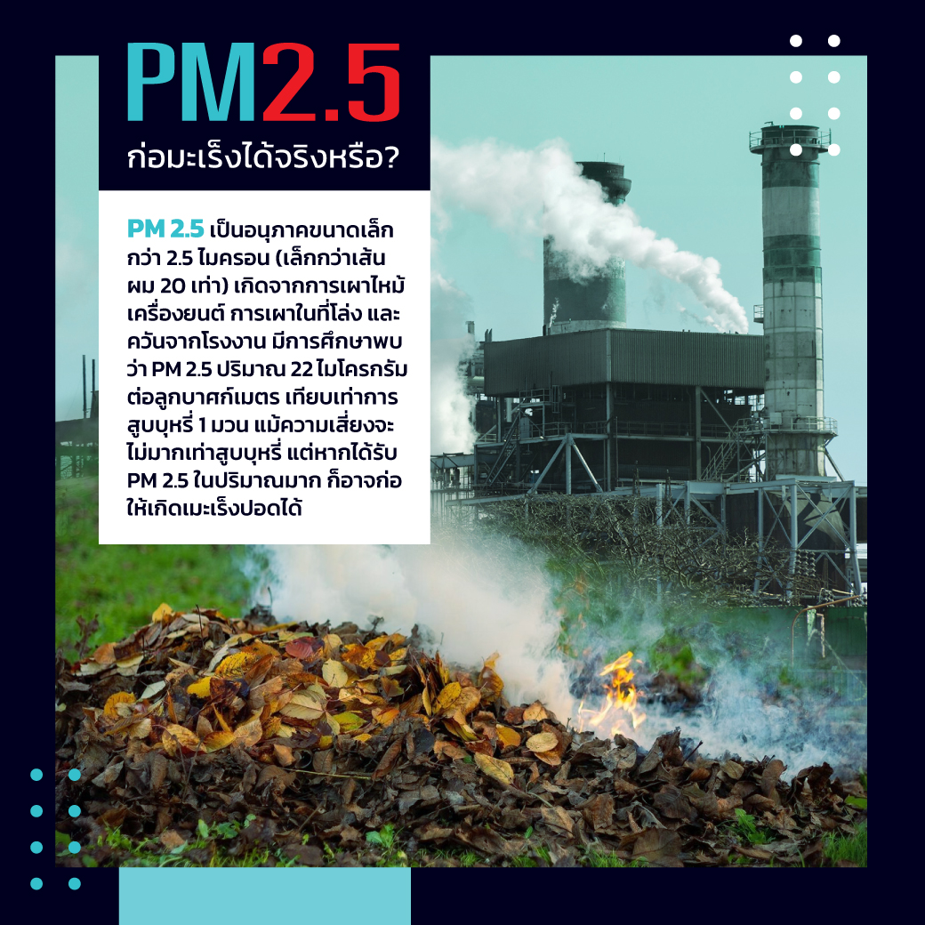 ภาพอินโฟกราฟิกเกี่ยวกับอันตรายของฝุ่น PM2.5 และผลกระทบต่อสุขภาพ