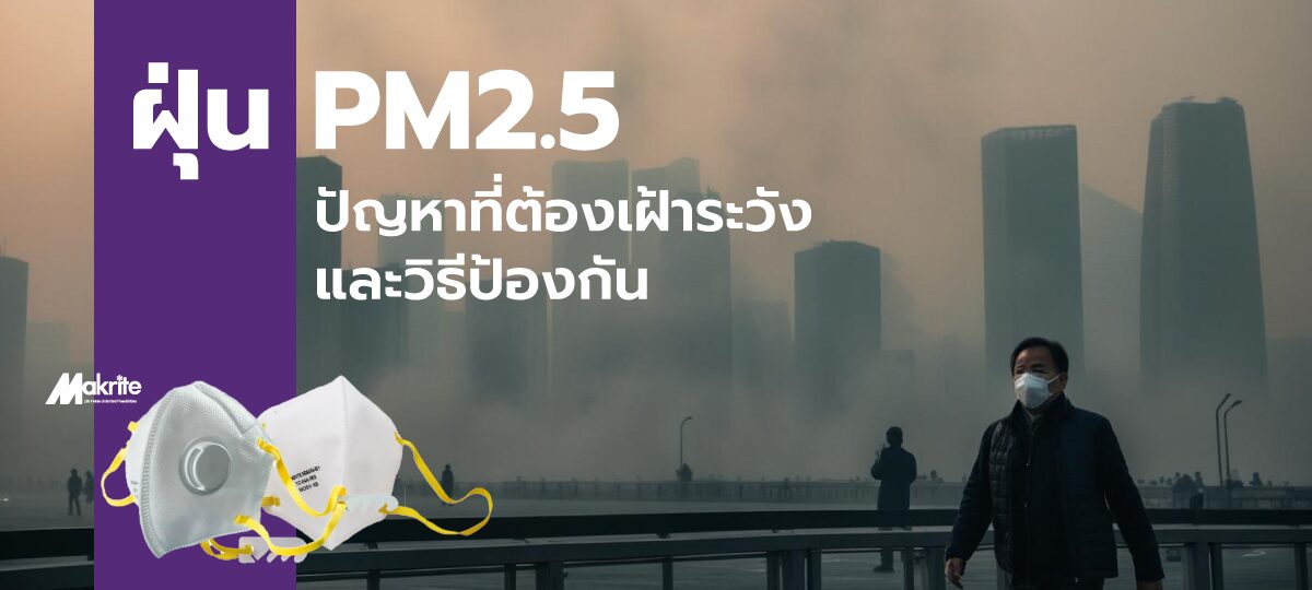 ภาพปกบทความเกี่ยวกับปัญหาฝุ่น PM2.5 และผลกระทบต่อสุขภาพ